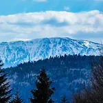 Gorski Wypoczynek Penzion Stryszawa