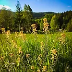 Gorski Wypoczynek Penzion Stryszawa