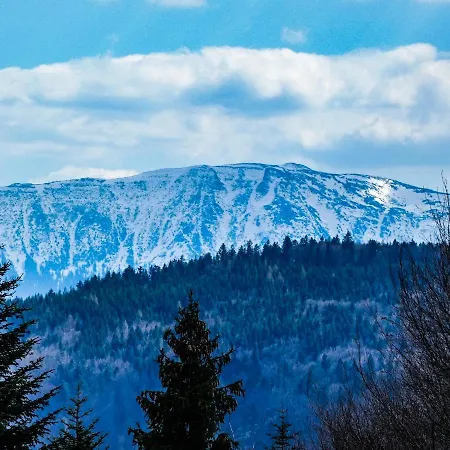 Gorski Wypoczynek Gasthof Stryszawa