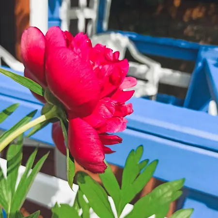 Gorski Wypoczynek 3*