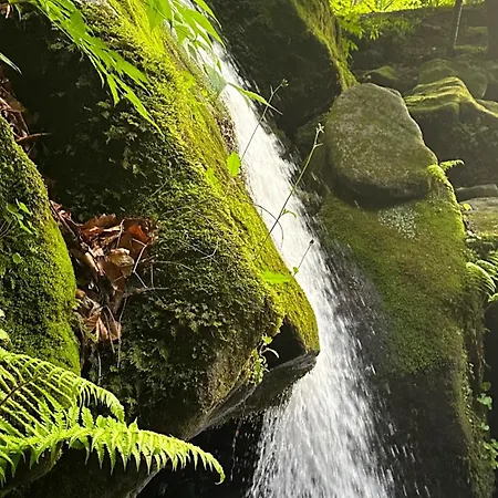 Górski Wypoczynek Pensjonat 3*