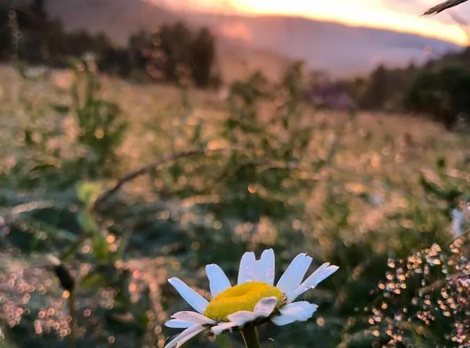 Gorski Wypoczynek 3* Stryszawa