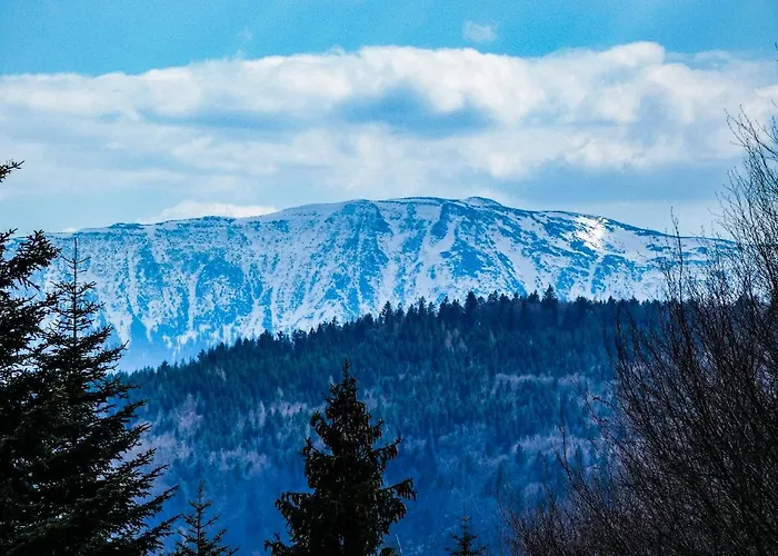 Gorski Wypoczynek Affittacamere Stryszawa