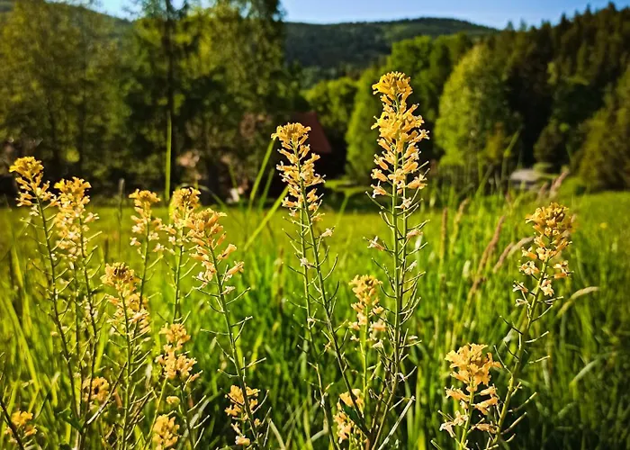 Gorski Wypoczynek Affittacamere Stryszawa