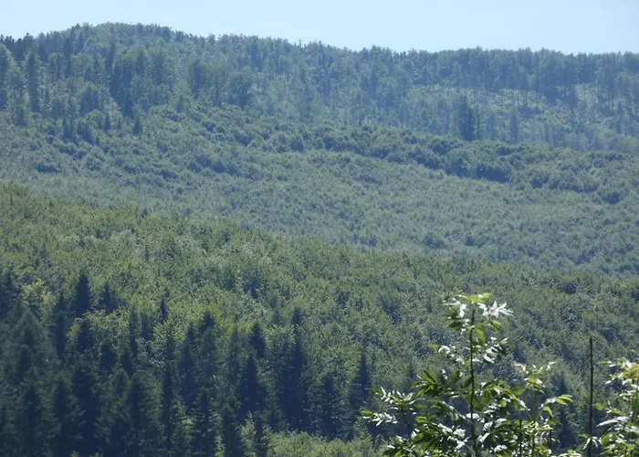 Gorski Wypoczynek Affittacamere